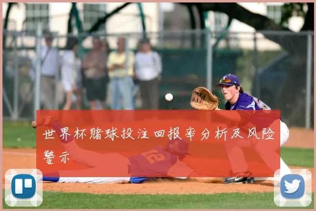 世界杯赌球投注回报率分析及风险警示