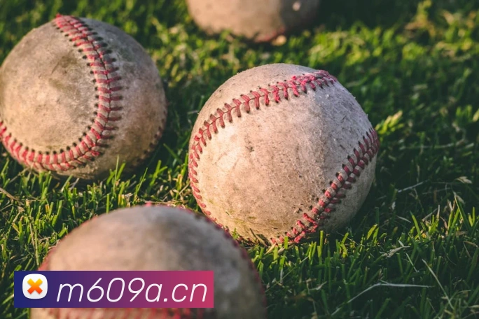 6686体育赛事直播平台生态图